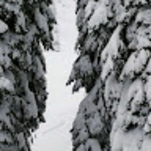 sslidesonsnow